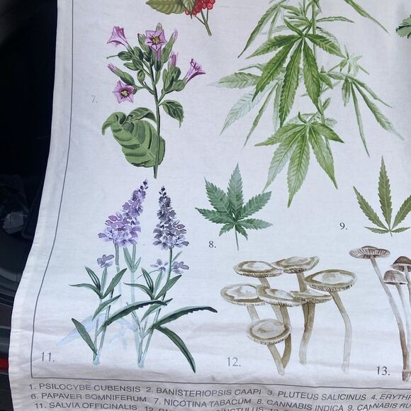 Trippy Botanicals Illustrated Tapestry Urban Outfitters wall hanging - Picture 5 of 9